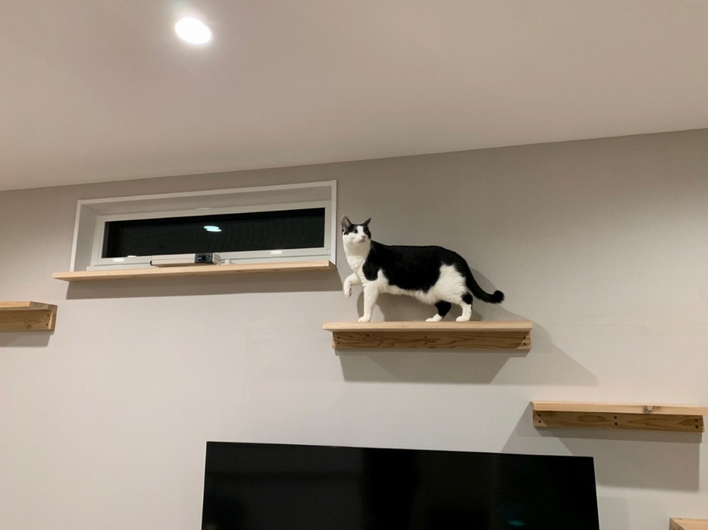 無垢板キャットウォーク